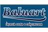 Baluart Energia Solar & Construtora